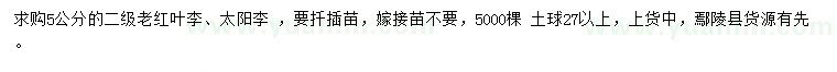 求購5公分紅葉李、太陽李