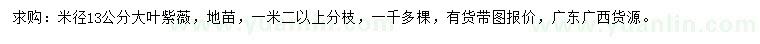 求購米徑13公分大葉紫薇