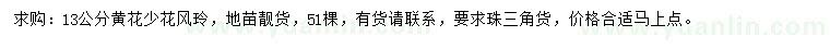 求購(gòu)13公分黃花少花風(fēng)玲