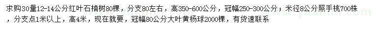 求購(gòu)紅葉石楠、照手桃、大葉黃楊球