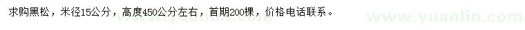 求購米徑15公分黑松