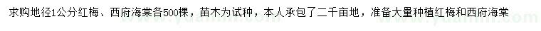 求購地徑1公分紅梅、西府海棠