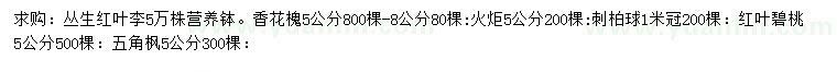 求購叢生紅葉李、香花槐、火炬樹等