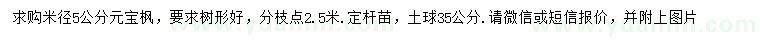 求購米徑5公分元寶楓