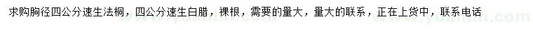 求購(gòu)胸徑4公分速生法桐、速生白蠟