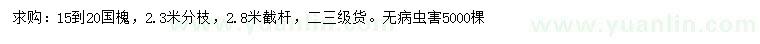 求購15-20公分國槐