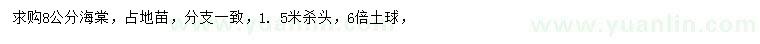 求購8公分海棠