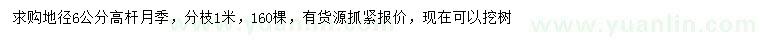 求購(gòu)地徑6公分高桿月季