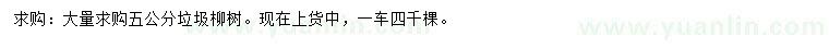 求購5公分柳樹