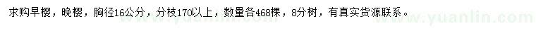 求購胸徑16公分早櫻、晚櫻