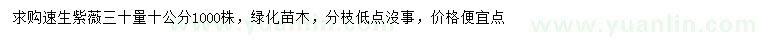 求購30量10公分速生紫薇