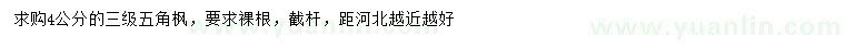 求購4公分五角楓
