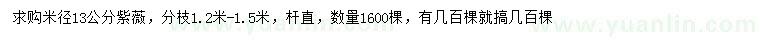 求購米徑13公分紫薇