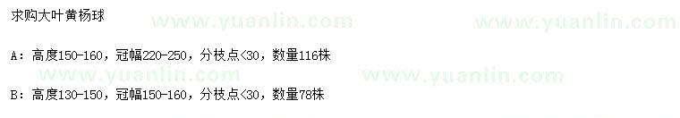 求購冠幅150-160、220-250公分大葉黃楊球