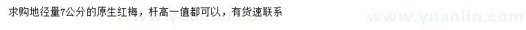 求購地徑7公分原生紅梅