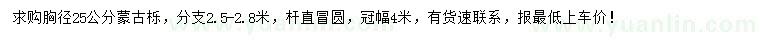 求購(gòu)胸徑25公分蒙古櫟