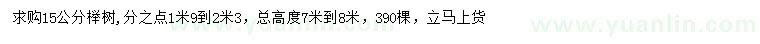 求購15公分櫸樹