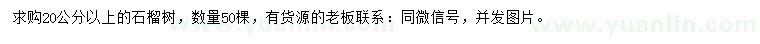 求購(gòu)20公分以上石榴