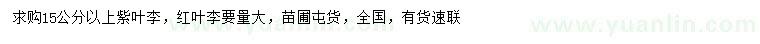 求購15公分以上紫葉李、紅葉李