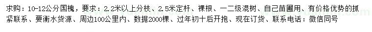 求購10-12公分國槐