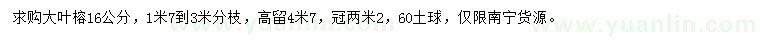 求購16公分大葉榕