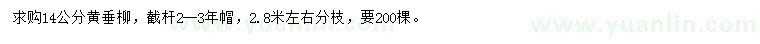 求購(gòu)14公分黃垂柳