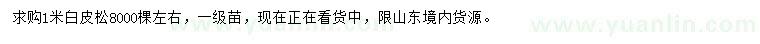求購1米白皮松
