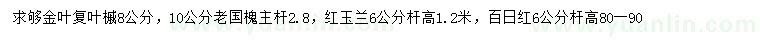 求購(gòu)金葉復(fù)葉槭、老國(guó)槐、紅玉蘭等