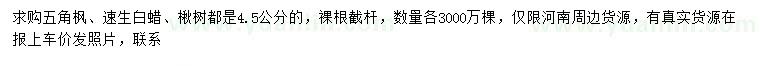求購(gòu)五角楓、速生白蠟、楸樹