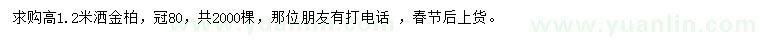 求購(gòu)高1.2米灑金柏