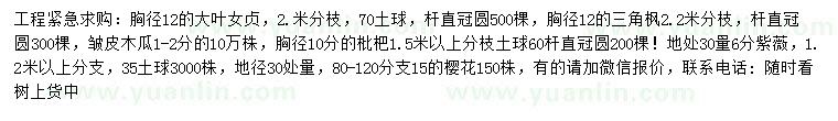 求購大葉女貞、三角楓、皺皮木瓜等