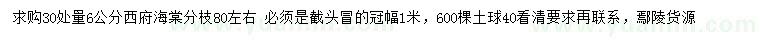 求購30量6公分西府海棠
