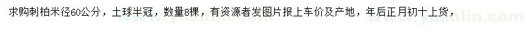 求購米徑60公分刺柏