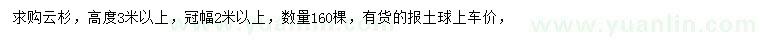 求購高3米以上云杉