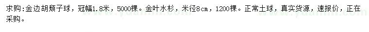 求購(gòu)冠幅1.8米金邊胡頹子球、米徑8公分金葉水杉