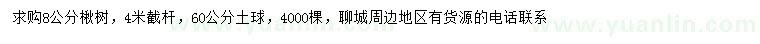求購(gòu)8公分楸樹