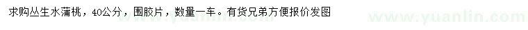 求購(gòu)40公分叢生水蒲桃