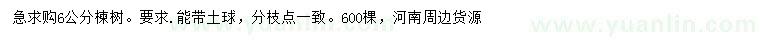 求購6公分楝樹