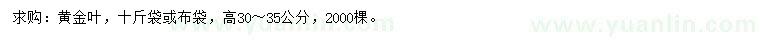求購高30-35公分黃金葉
