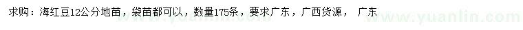 求購12公分海紅豆