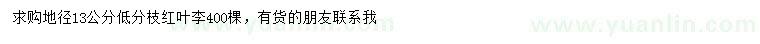 求購地徑13公分低分枝紅葉李