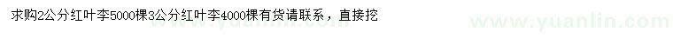 求購2、3公分紅葉李