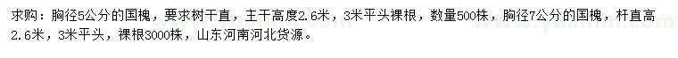 求購(gòu)胸徑5公分國(guó)槐