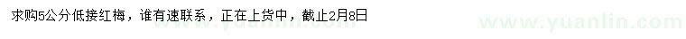 求購(gòu)5公分低接紅梅