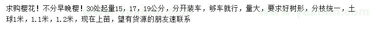 求購30公分起量15、17、19公分櫻花