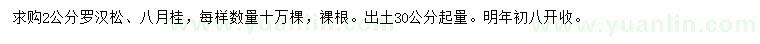 求購30公分量2公分羅漢松、八月桂