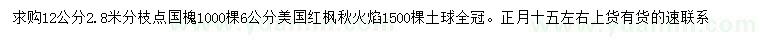 求購12公分國槐、6公分美國紅楓秋火焰
