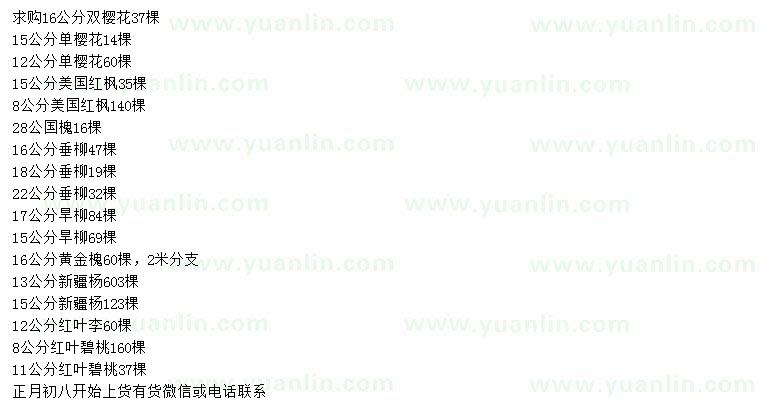 求購雙櫻、單櫻、美國紅楓等