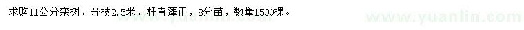 求購11公分欒樹