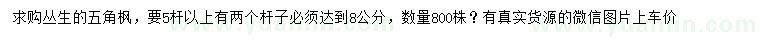 求購5桿以上叢生五角楓